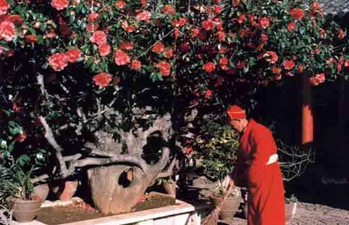 说明: http://www.yulonggov.com/u/cms/sw/201412/18192157a14g.jpg